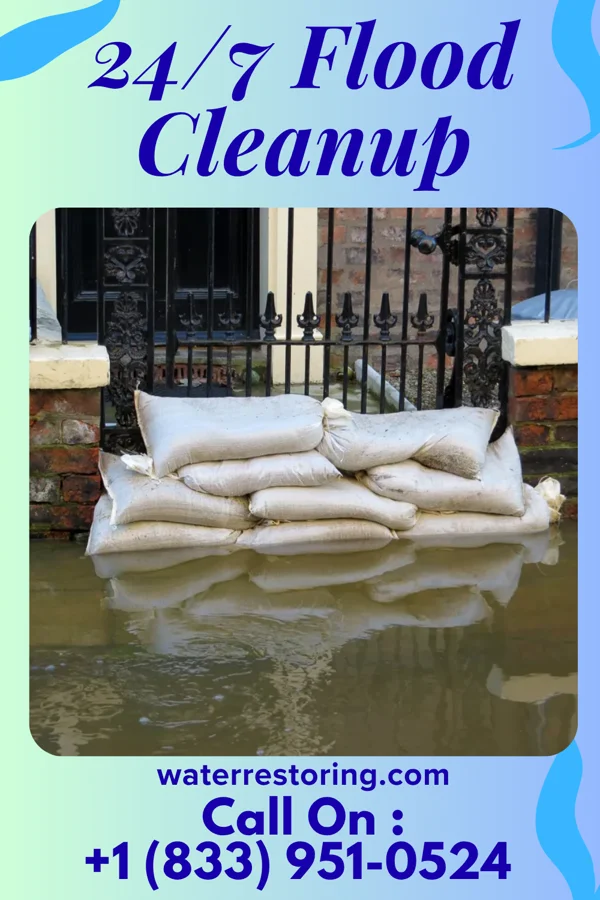 24/7 Flood Cleanup in Westway, TX