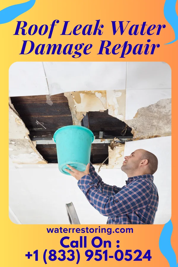 Roof Leak Water Damage Repair in Westway, TX